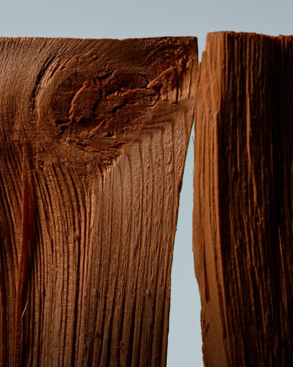 Warm wood texture